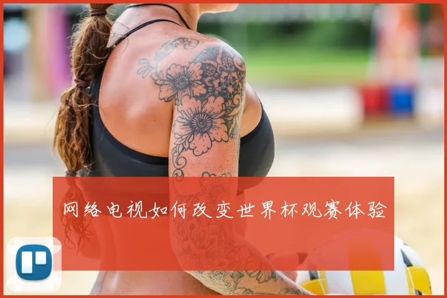 网络电视如何改变世界杯观赛体验