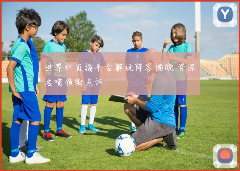世界杯直播平台解说阵容揭晓 资深名嘴领衔点评