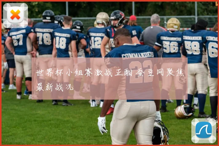 世界杯小组赛激战正酣 蚕豆网聚焦最新战况