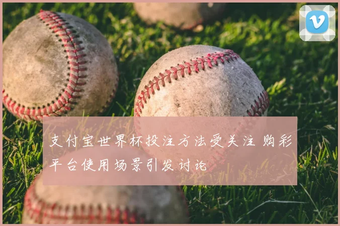 支付宝世界杯投注方法受关注 购彩平台使用场景引发讨论