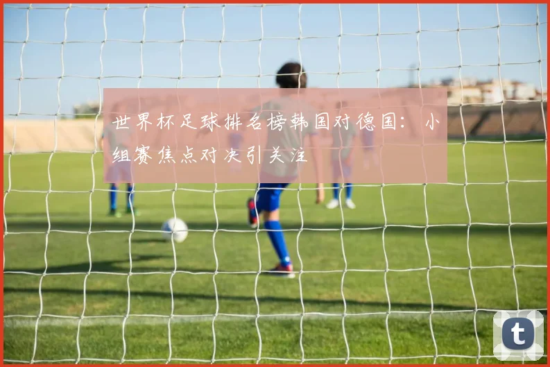 世界杯足球排名榜韩国对德国:小组赛焦点对决引关注