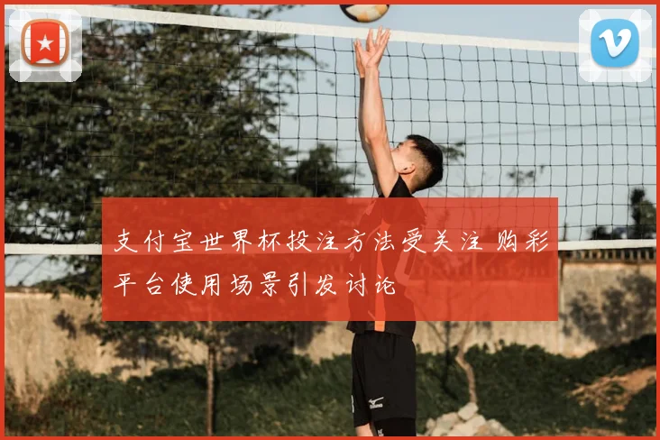 支付宝世界杯投注方法受关注 购彩平台使用场景引发讨论