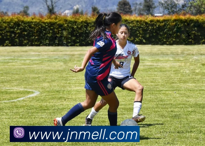 投注app官网APP 封面图